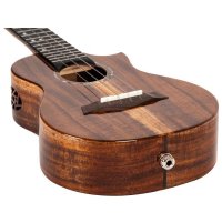 Flight Spirit Concert EQ-A