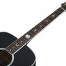 Schecter RS-1000 STAGE ACOUSTIC