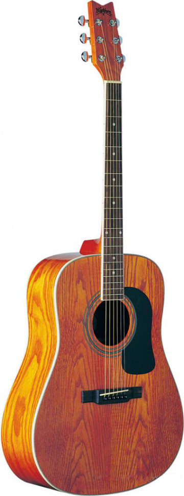 Washburn d11an cheap