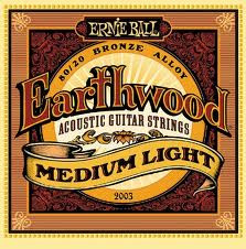 Ernie Ball P02003 Medium Light