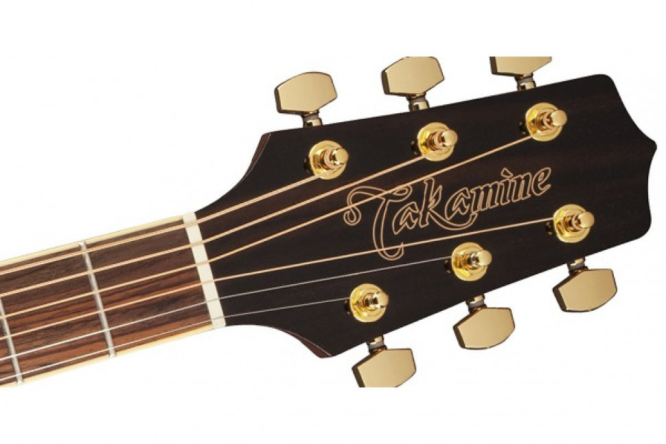 Takamine GD51-NAT
