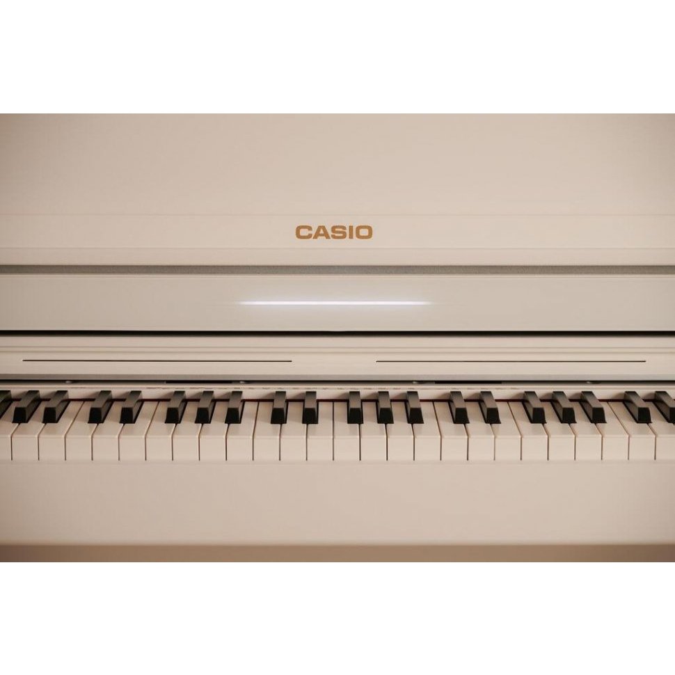 Casio AP-550 WE