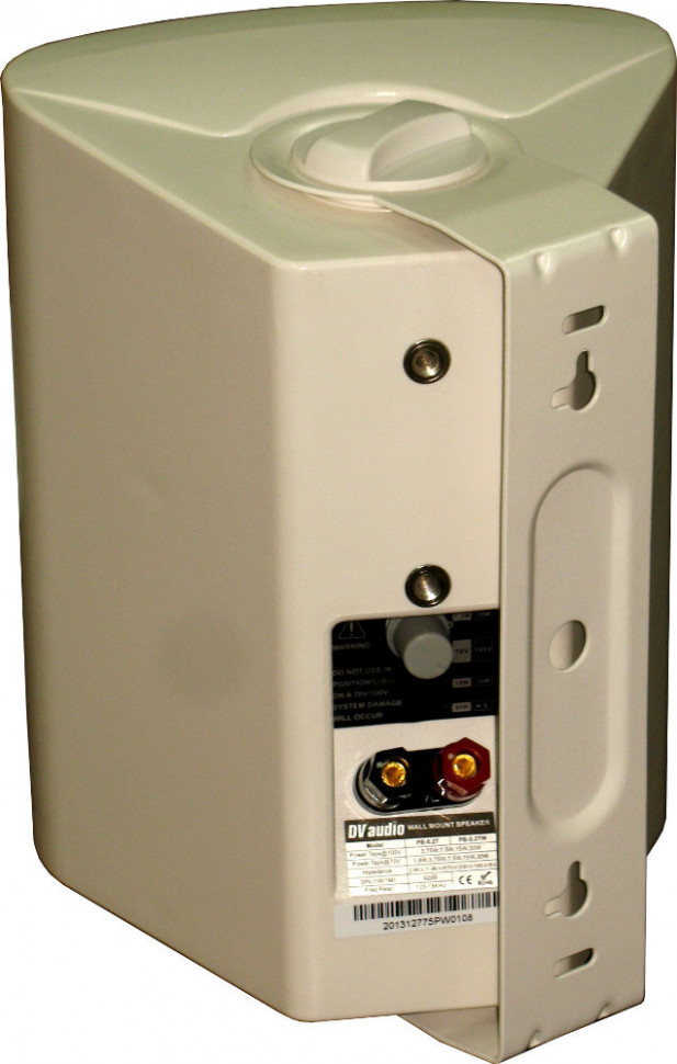 DV audio PB-5.2TW