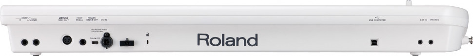 Roland Lucina AX-09