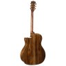 Cort GOLD-A6 Bocote (Natural)
