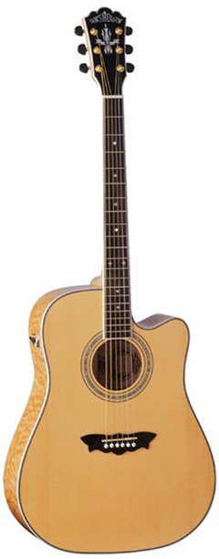 Washburn D34 SCEN