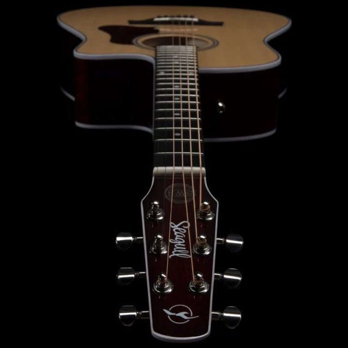 Seagull Maritime SWS CW GT Presys II