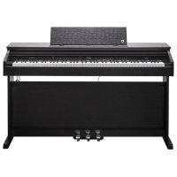 Kurzweil CUP E1 SR