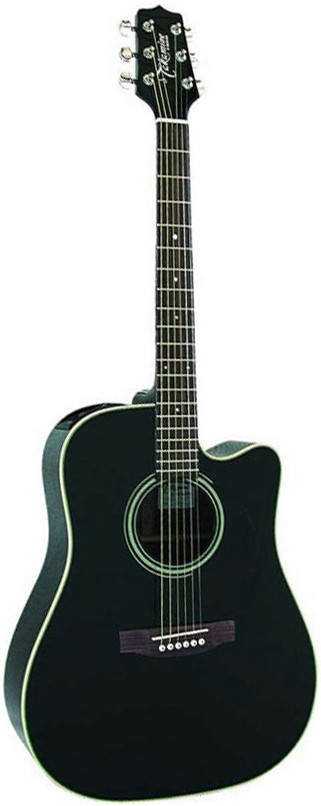 Takamine shop eg 321c
