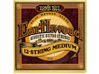 Ernie Ball P02012 12 String Medium