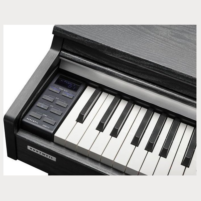 Kurzweil CUP M1 SR