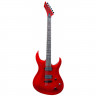 Washburn WM24PRO EMRK