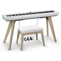 Casio BG50-Vinyl-WE