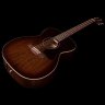 Art & Lutherie Legacy Bourbon Burst Presys II