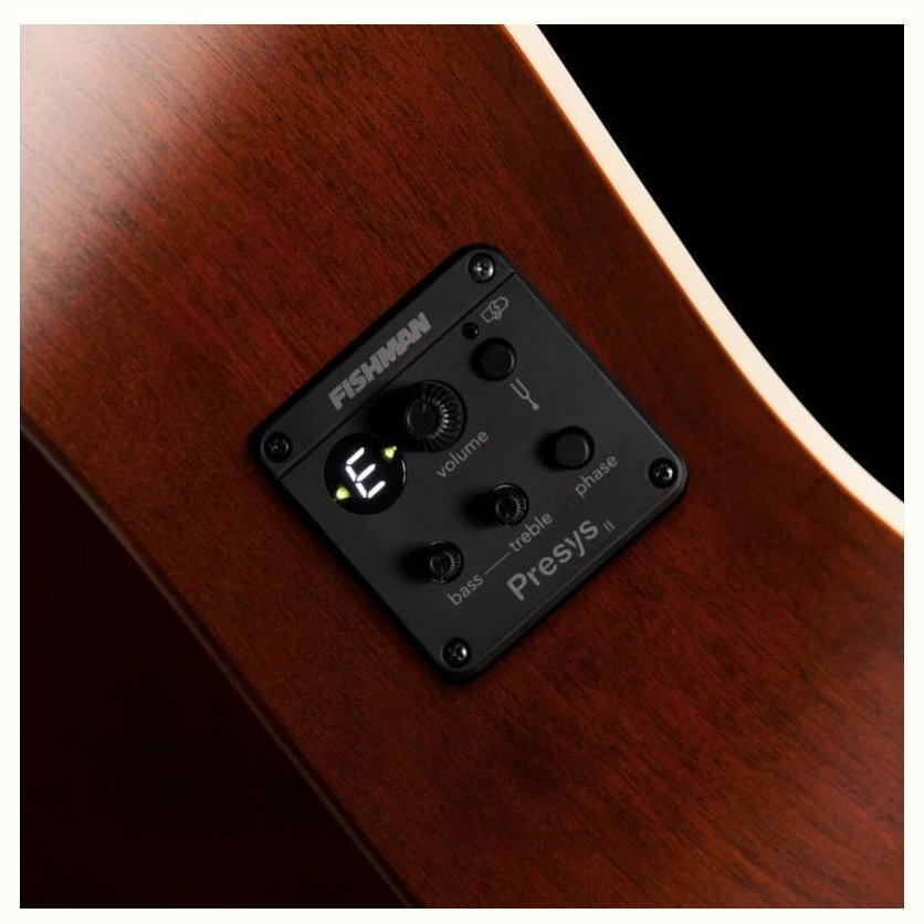 Art & Lutherie Legacy Bourbon Burst Presys II