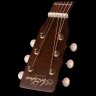 Art & Lutherie Legacy Bourbon Burst Presys II