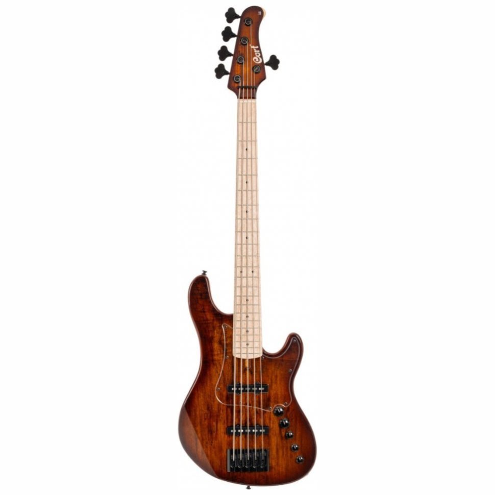 Cort GB-Fusion 5 (Antique Brown Burst) w/bag