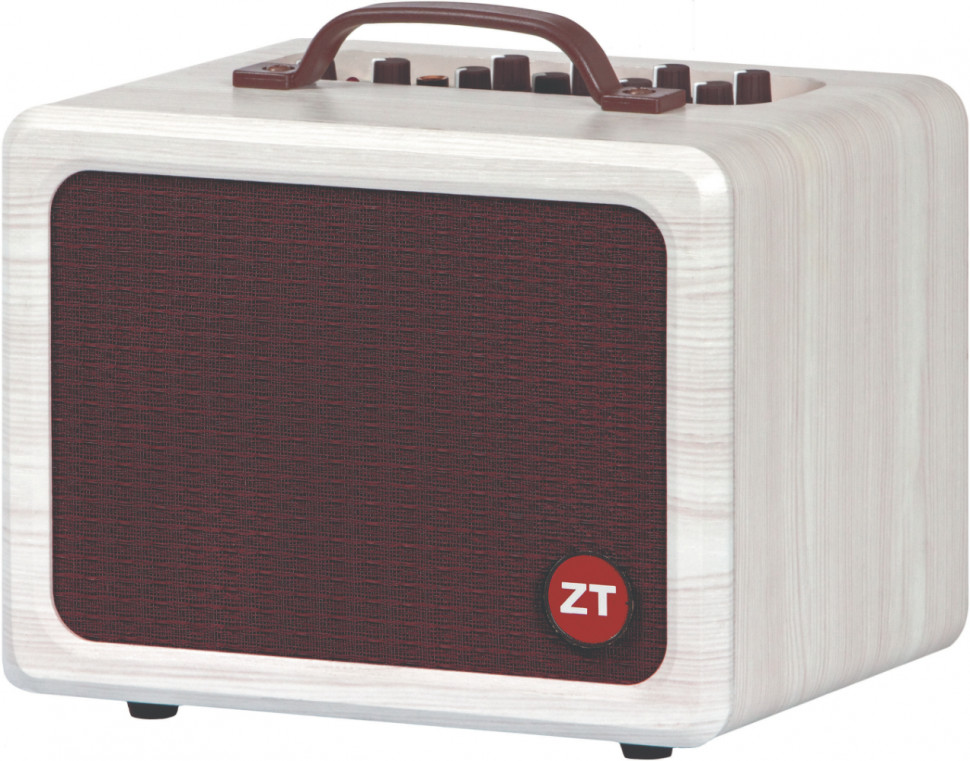 ZT Amplifiers ZT Lunchbox Acoustic Amplifier