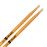 Vater TX5AW-AGC