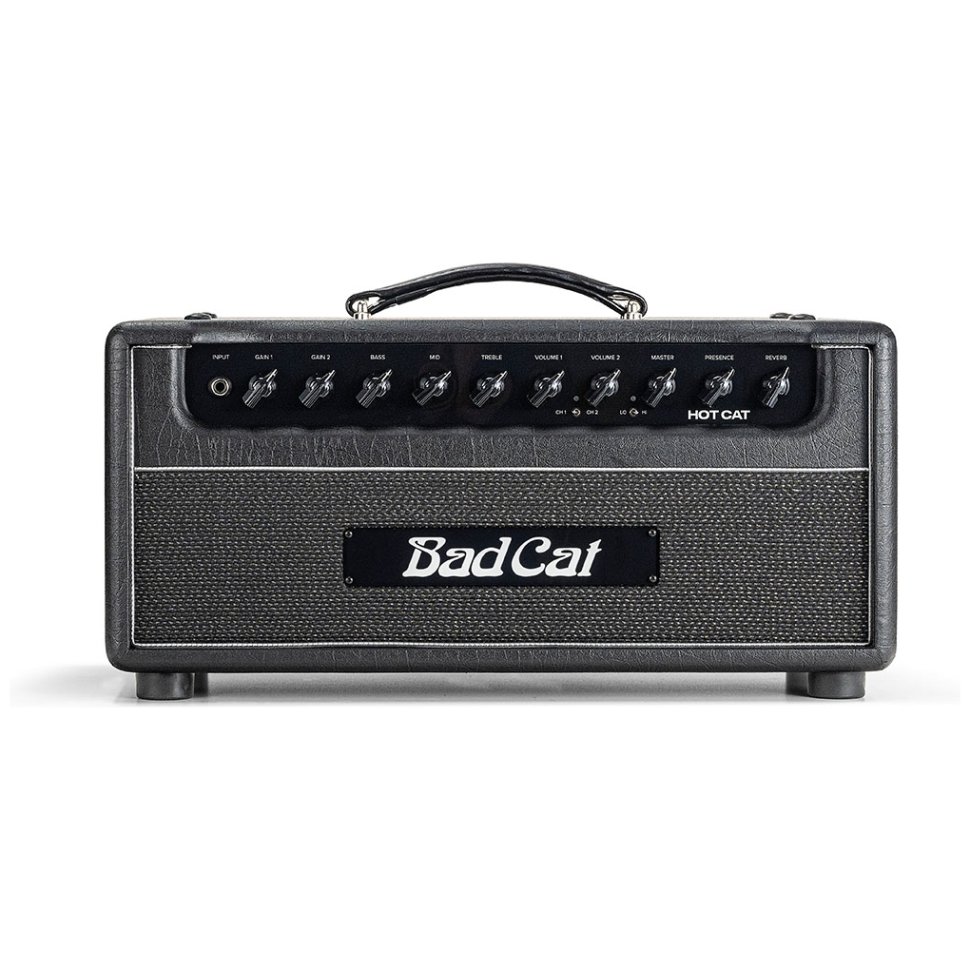 Bad Cat Hot Cat Head