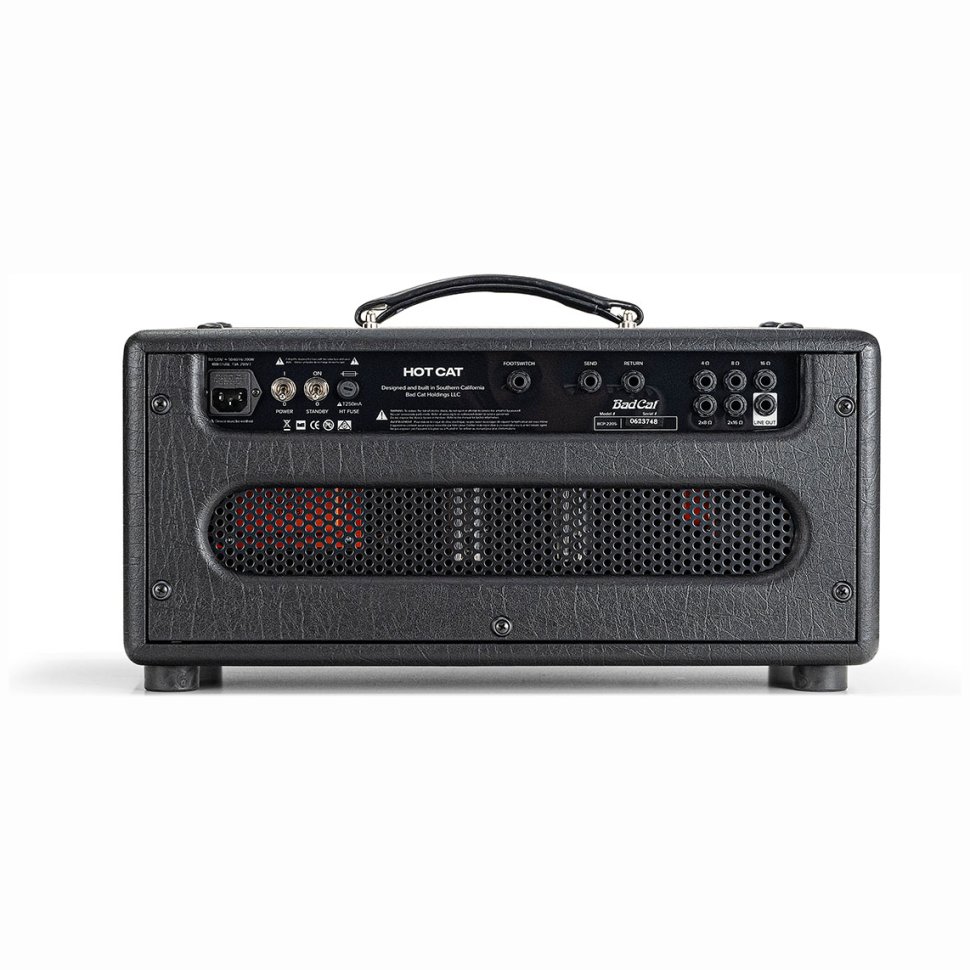 Bad Cat Hot Cat Head