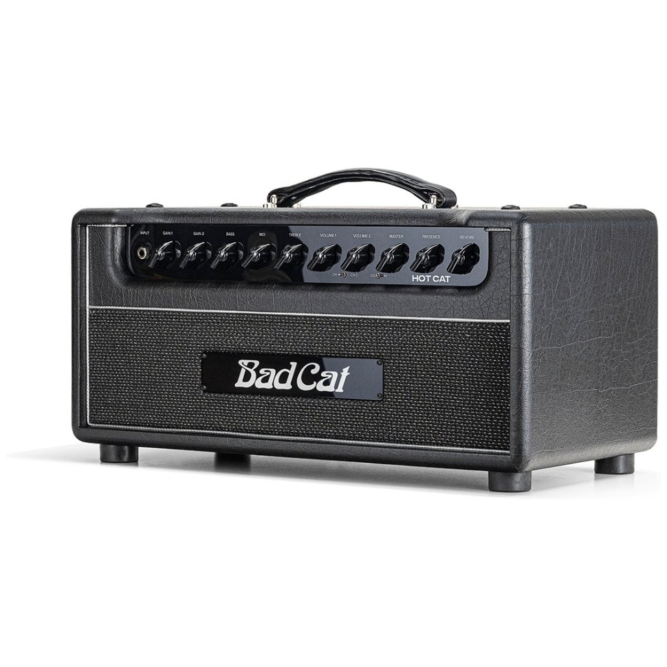 Bad Cat Hot Cat Head