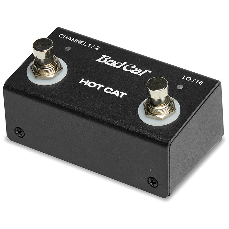 Bad Cat Hot Cat Head