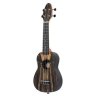 Ortega Keiki Ukulele Pack K3-WEB