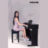 NUX WK-520