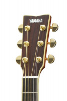 Yamaha LS16 ARE
