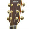 Yamaha LS16 ARE