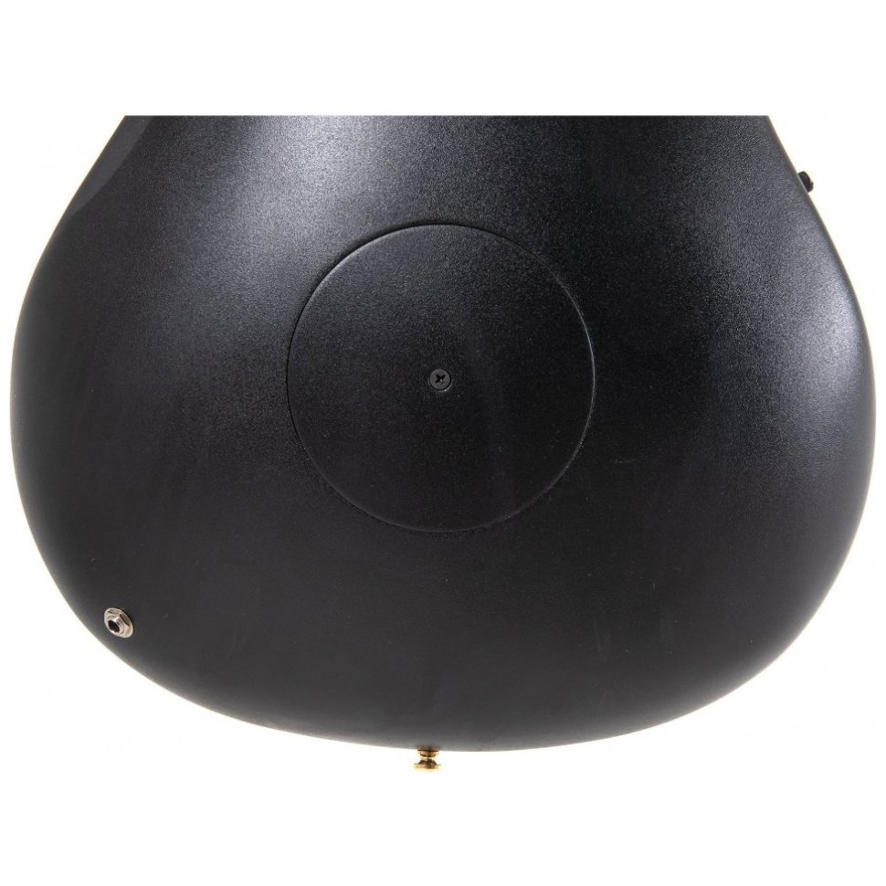 Ovation Celebrity Elite Plus CE44P Mid Cutaway Natural Spalted Maple Ovation Celebrity Elite Plus CE44P Mid Cutaway Natural Spalted Maple