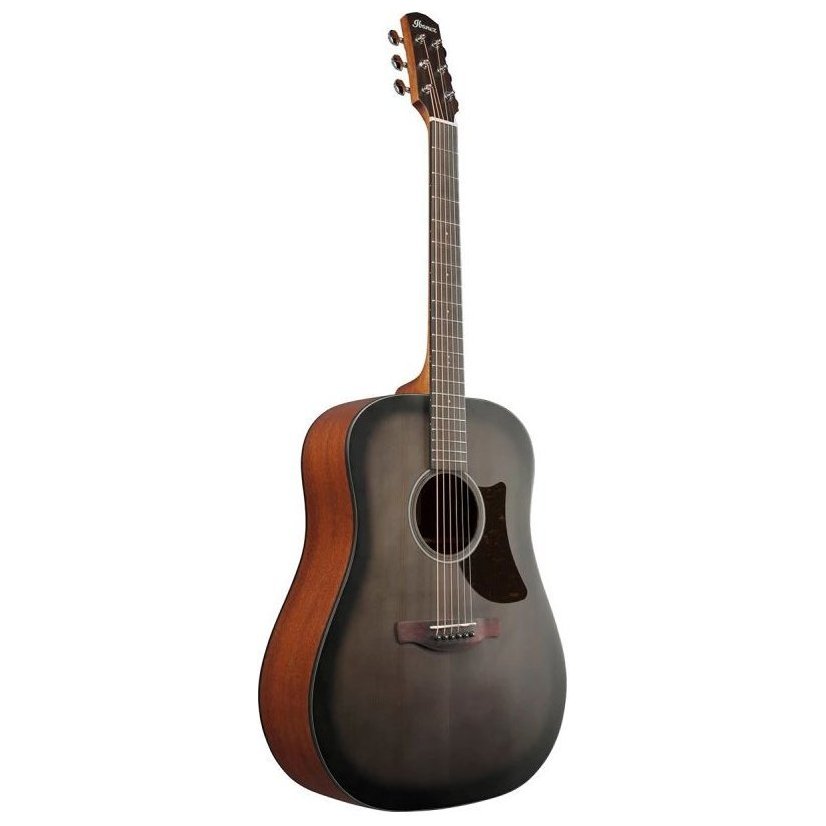 Ibanez AAD50-TCB