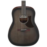 Ibanez AAD50-TCB