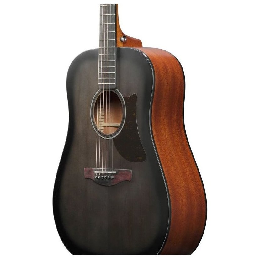 Ibanez AAD50-TCB