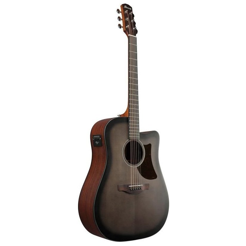 Ibanez AAD50CE-TCB
