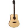 Tanglewood TS5