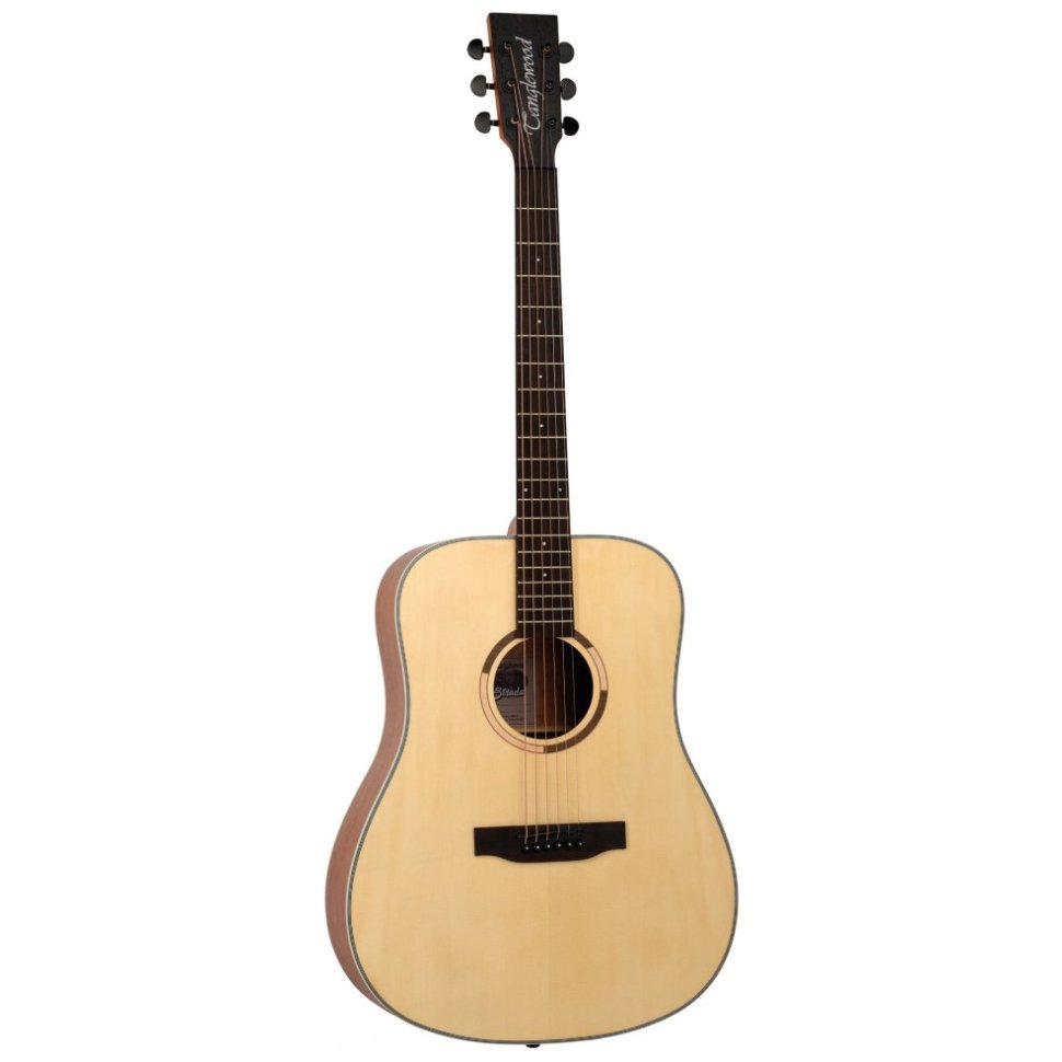 Tanglewood TS5