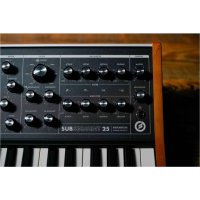 Moog SUBSEQUENT 25