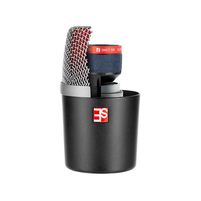 sE Electronics V Kick