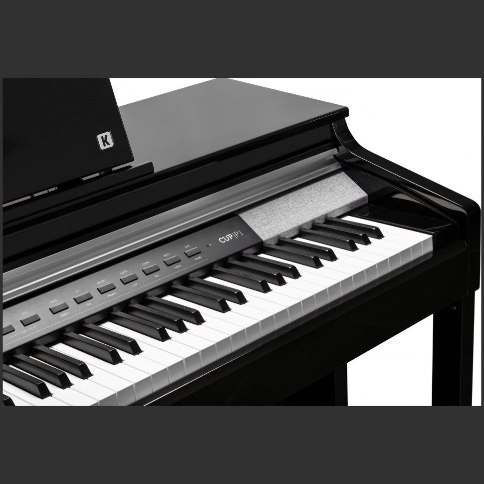 Kurzweil CUP P1 BP