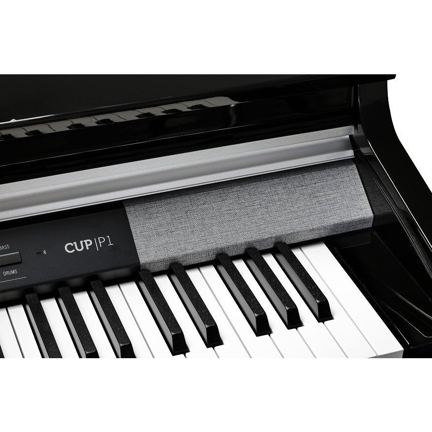 Kurzweil CUP P1 BP