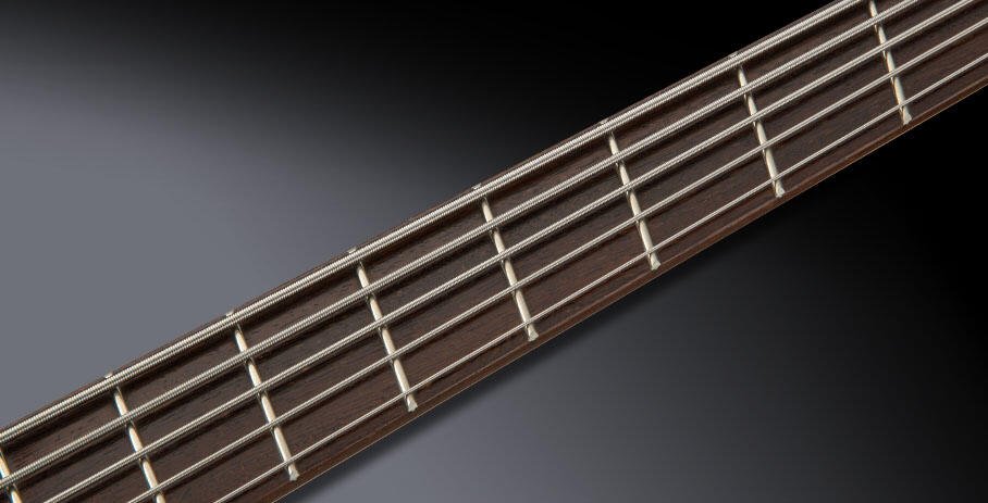 Warwick 1505670300CAMPBAWW Warwick 1505670300CAMPBAWW