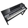 Kurzweil CUP P1 SR
