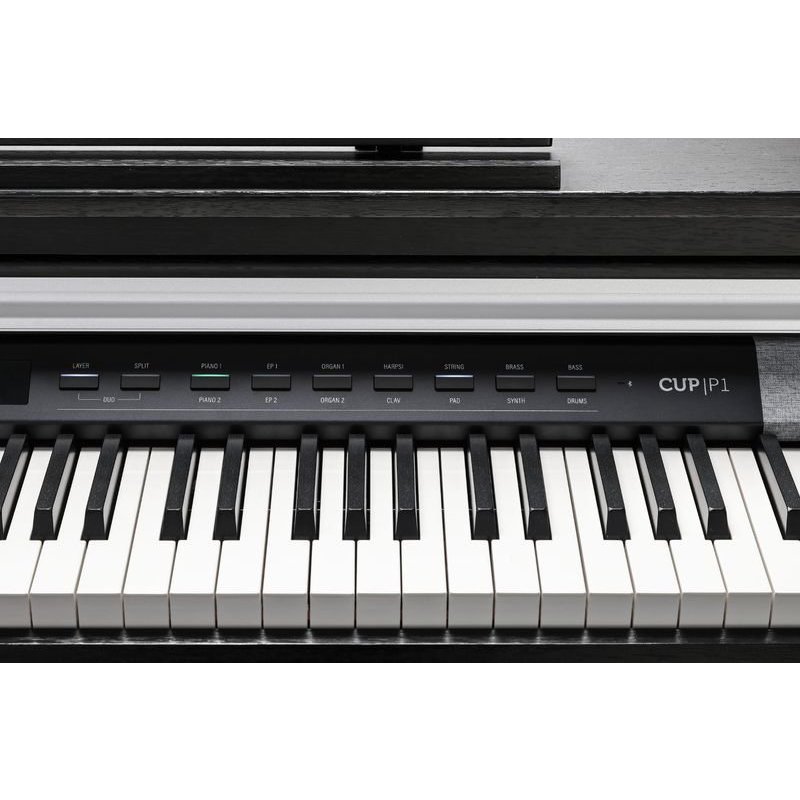 Kurzweil CUP P1 SR