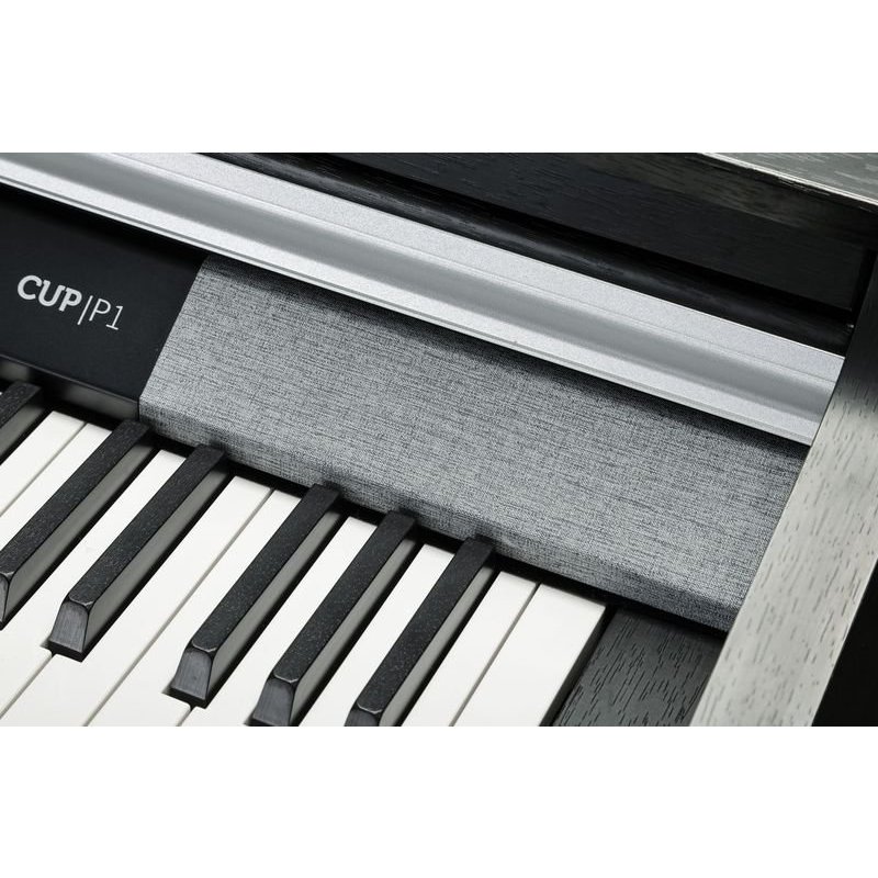 Kurzweil CUP P1 SR