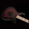 PRS DW CE 24 FLOYD (Waring Burst)
