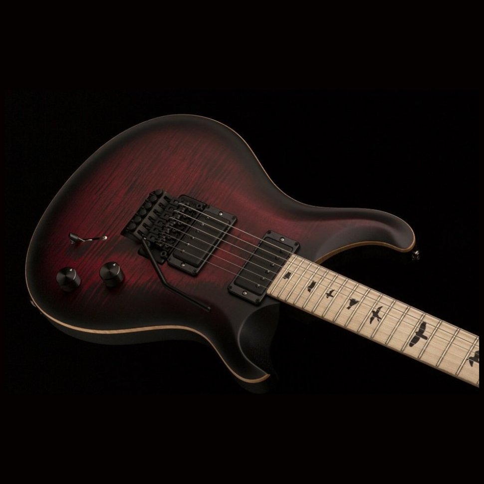 PRS DW CE 24 FLOYD (Waring Burst)