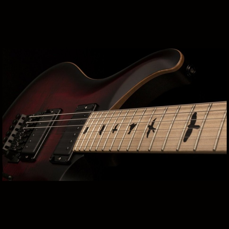 PRS DW CE 24 FLOYD (Waring Burst)