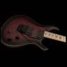 PRS DW CE 24 FLOYD (Waring Burst)